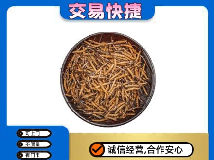 克什克腾旗回收散虫草
